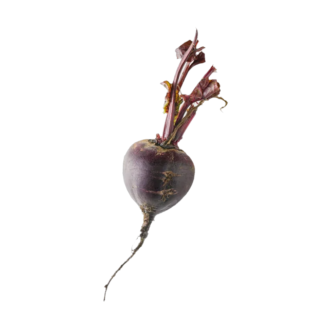 Beet root