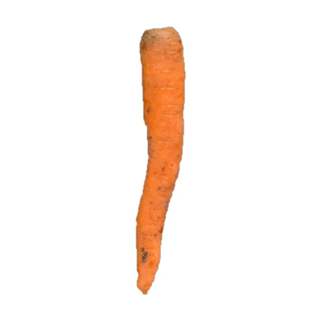 Carrot
