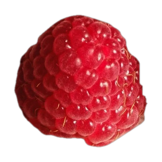 Raspberry