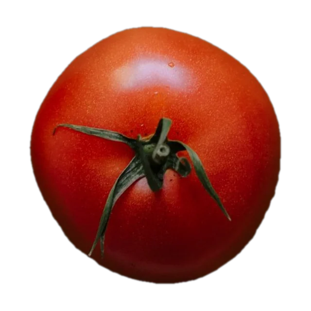 Tomato extract